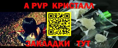 индика Кимры