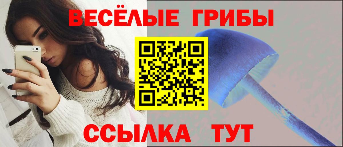 Псилоцибиновые грибы MAGIC MUSHROOMS  Вход с VPN  Нальчик 